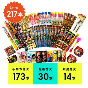 花火セット 送料無料 手持ち・噴出詰め合わせ(...の詳細画像2