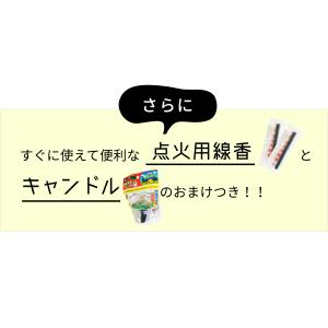 花火セット 送料無料 手持ち・噴出詰め合わせ(...の詳細画像5
