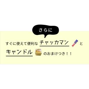 No.17 送料無料!どさっと手持ちVer1 ...の詳細画像3