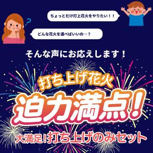 花火屋さん厳選!打上花火 5本セット 【花火セ...の詳細画像2