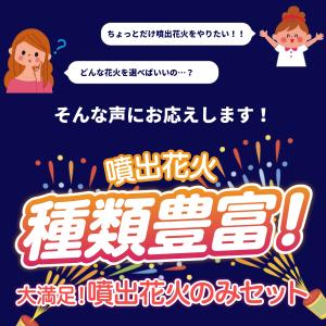 花火屋さん厳選!噴出花火 8本セット 【花火セ...の詳細画像2