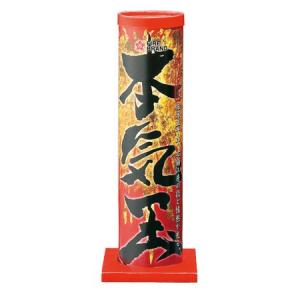打ち上げ花火 本気玉の詳細画像1