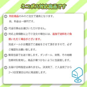 ☆ネコポス対象商品☆ 点火用ローソク 2P 【...の詳細画像1