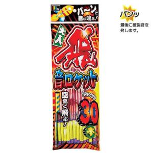 ロケット花火 飛・音ロケット30本入×5袋セットの詳細画像1