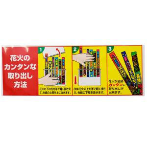 超楽テモプラIの詳細画像3