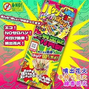 【 花火セット 噴出花火 手持ち花火 線香花火...の詳細画像1