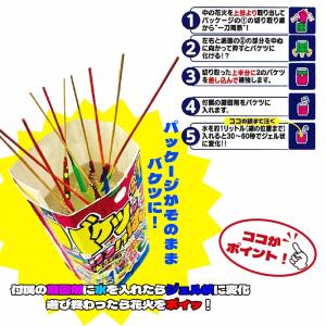 【 花火セット 噴出花火 手持ち花火 線香花火...の詳細画像2
