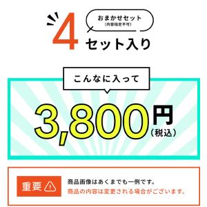 【花火詰め合わせ・送料無料】 厳選花火セット4...の詳細画像2