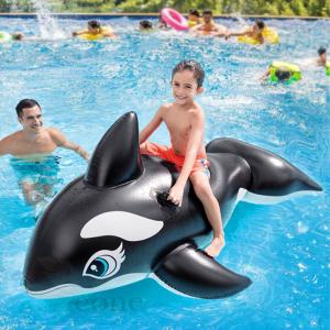 フロート 浮き輪 サメの商品一覧 通販 Yahoo ショッピング