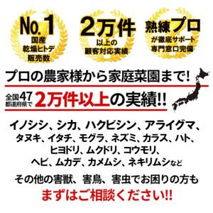 国産(北海道産) 撃退パンチ ヒトデ 忌避剤 ...の詳細画像5