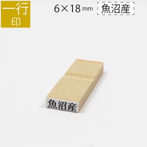 一行印 のべ板 6mm×18mm　別注品 最大5文字まで　ゴム印 はんこ 判子 スタンプ ゴム印鑑 オーダー 名前 おなまえ