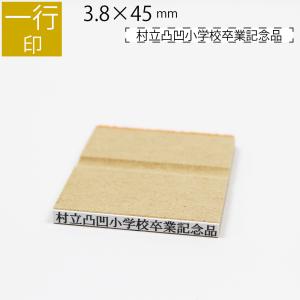 一行印 のべ板 3.8mm×45mm　別注品 最大16文字まで　ゴム印 はんこ 判子 スタンプ ゴム印鑑 オーダー 名前 おなまえ｜ep-insho