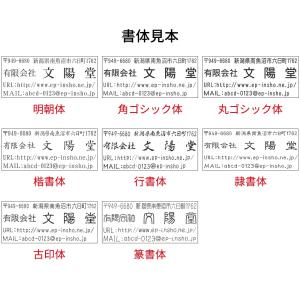 ゴム印 住所印 住所 スタンプ 選べるサイズ ...の詳細画像1