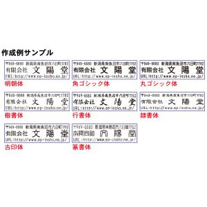 選べるレイアウト 住所 スタンプ 住所印 ゴム...の詳細画像2