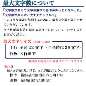 選べるレイアウト 住所 スタンプ 住所印 ゴム...の詳細画像5