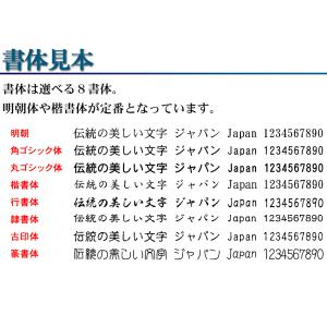 選べるレイアウト 住所 スタンプ 住所印 ゴム...の詳細画像1