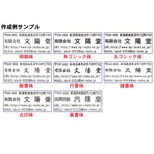 選べるレイアウト 住所 スタンプ 住所印 ゴム...の詳細画像2