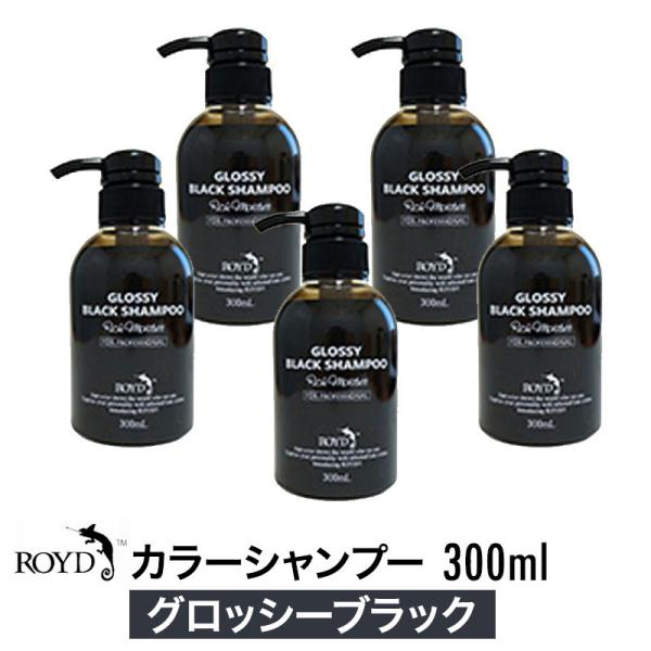 【5個セット】 ROYD ロイド カラーシャンプー グロッシーブラック 300ml 誕生日 プレゼン...