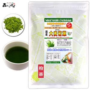 国産 大麦若葉 粉末 100g 福岡県産 おおむぎわかば パウダー 野菜粉末   北海道 沖縄 離島も可 森のこかげ 売筋粉