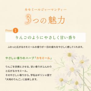 カモミールジャーマン ティー 粉末 (80g)...の詳細画像2