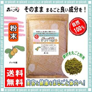 グァバ茶 粉末 500g ぐぁば茶 パウダー グアバ ぐあば   北海道 沖縄 離島も無料配送可 森のこかげ 売筋粉
