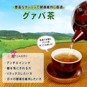 3 グァバ茶 2g×100p ガバ茶 ティーバ...の詳細画像1