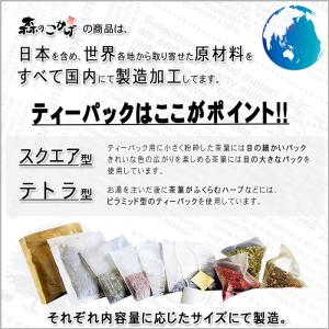 3 グァバ茶 2g×100p ガバ茶 ティーバ...の詳細画像5