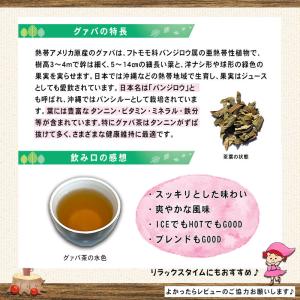 3 グァバ茶 2g×100p ガバ茶 ティーバ...の詳細画像2