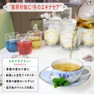 エキナセアティー (1.5g×30p) ティー...の詳細画像1