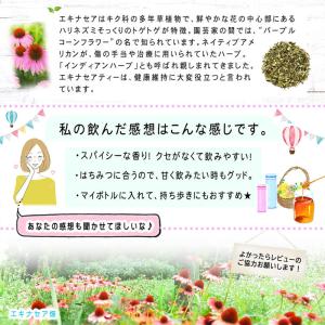 C エキナセアティー (1.5g×80p) オ...の詳細画像2