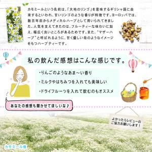B カモミール ジャーマン ティー(1.5g×...の詳細画像2