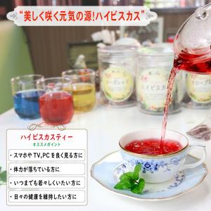 ハイビスカスティー (1.5g×35p) ビタ...の詳細画像1