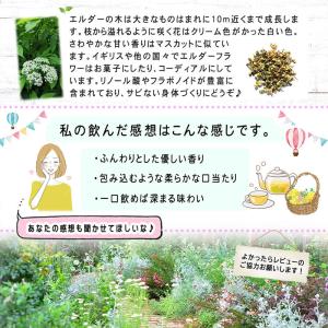 B エルダーティー (1.5g×20p) ティ...の詳細画像2
