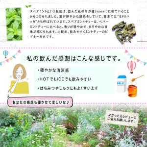 B スペアミントティー(1.5g×25p)原料...の詳細画像2