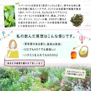A ペパーミントティー (80g) オーガニッ...の詳細画像2