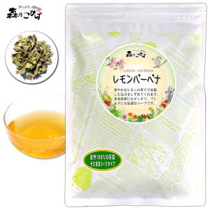 レモンバーベナティー 50g 心を落ち着ける ビギナーおすすめ   ポイント消化 森のこかげ