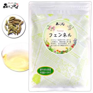 フェンネルティー 150g オーガニック 原料使用 ダイエットティー   北海道 沖縄 離島も無料配送可 ポイント消化 森のこかげ