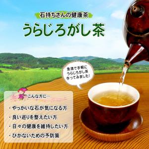 2 国産 うらじろがし茶 3g×35p 徳島・...の詳細画像1