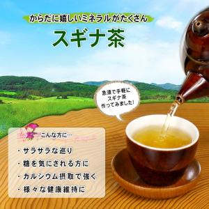スギナ茶 3g×40p すぎな茶 杉菜茶 ティ...の詳細画像1