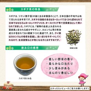 スギナ茶 3g×40p すぎな茶 杉菜茶 ティ...の詳細画像2