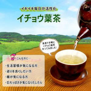 イチョウ葉茶 3g×40p ティーバッグ 銀杏...の詳細画像1