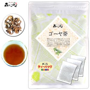 2 ゴーヤ茶 (3g×20p) にがうり茶 にがごうり ティーバッグ (残留農薬検査済) 北海道 沖縄 離島も無料配送可 森のこかげ 健少T 爆買