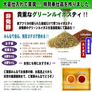 グリーンルイボスティー 400g スーペリアグ...の詳細画像2
