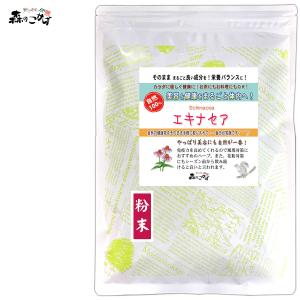 エキナセア 粉末 110g えきなせあ パウダー   北海道 沖縄 離島も無料配送可 ポイント消化 森のこかげ 売筋粉