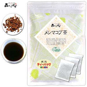 森のこかげ 2 カバノアナタケ茶 2g×50p チャーガ茶 キノコ茶 ティー