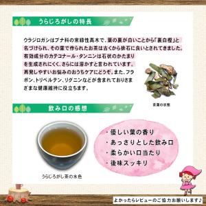 3 国産 うらじろがし茶 (3g×70p) 徳...の詳細画像2