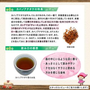 カバノアナタケ茶 2g×50p チャーガ茶 キ...の詳細画像2