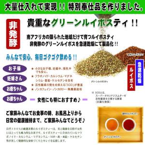 T グリーン ルイボスティー 2g×100p ...の詳細画像2