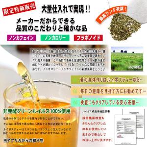 T グリーン ルイボスティー 2g×100p ...の詳細画像3