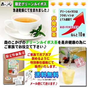T グリーン ルイボスティー 2g×100p ...の詳細画像4
